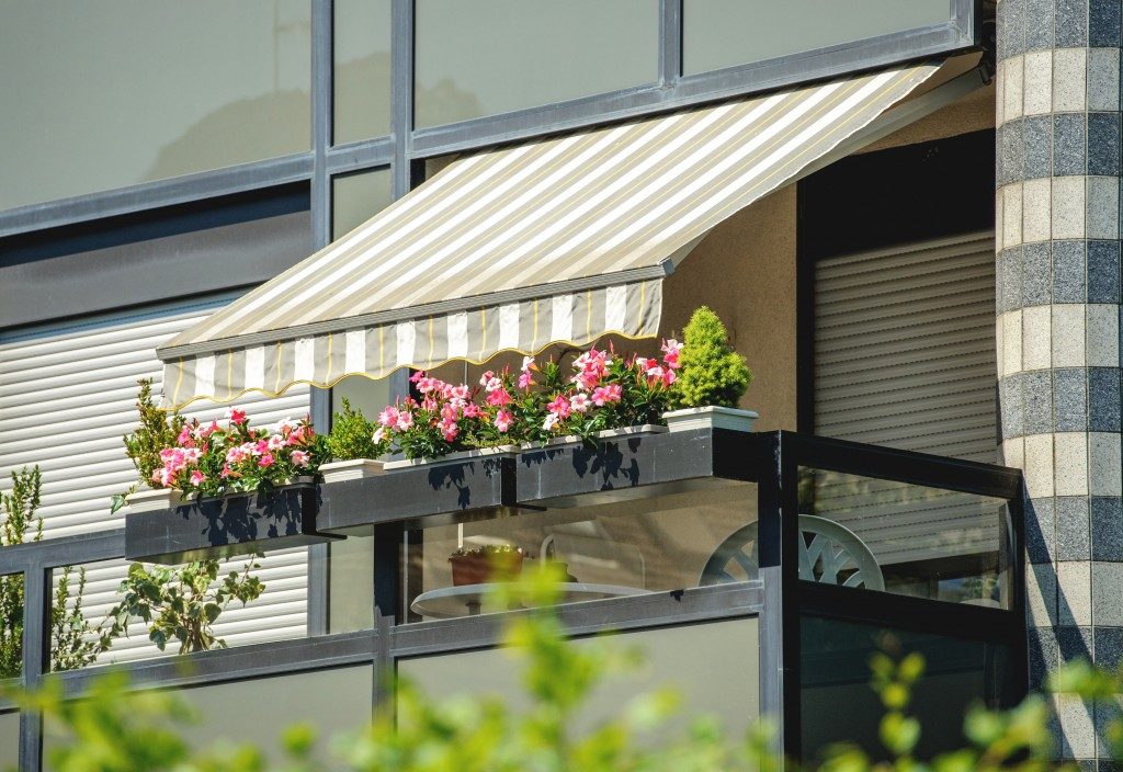 plants on a balcony