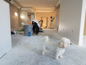 home renovation indoors