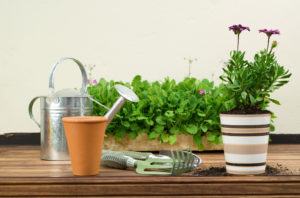 gardening tools and potted plant