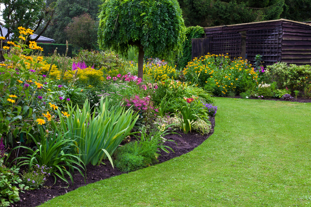 Garden Renovation