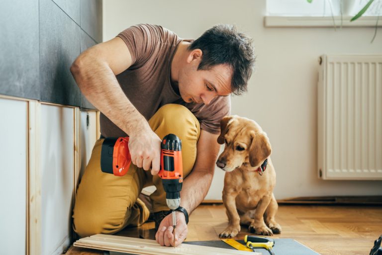 A homeowner starts a home renovation project by drilling a screw into a plank while his dog watches