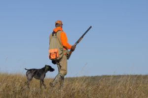 A hunter with a rifle and a dog on a meadow