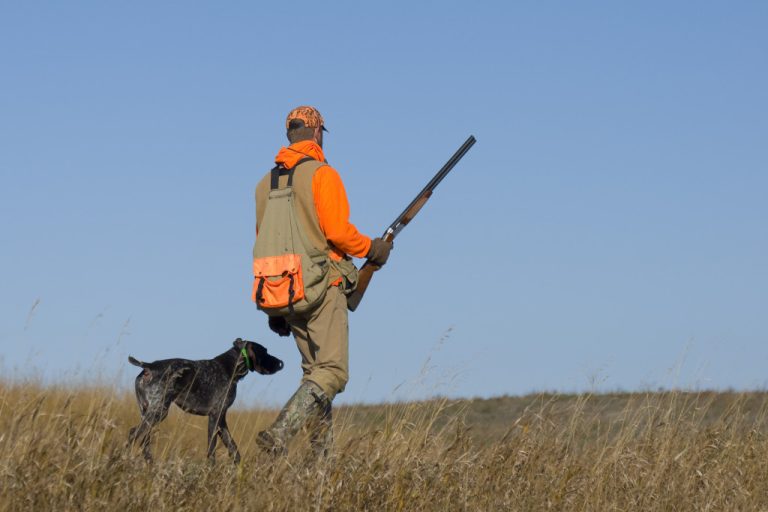 A hunter with a rifle and a dog on a meadow